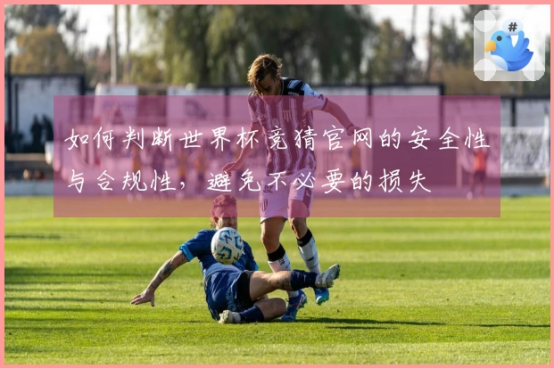 如何判断世界杯竞猜官网的安全性与合规性，避免不必要的损失