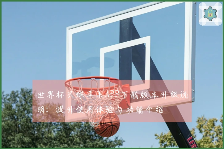 世界杯买球苹果APP下载版本升级说明：提升使用体验与功能介绍