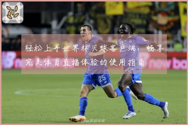 轻松上手世界杯买球客户端，畅享完美体育直播体验的使用指南