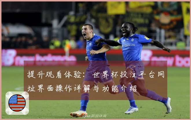 提升观看体验:世界杯投注平台网址界面操作详解与功能介绍