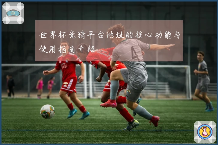 世界杯竞猜平台地址的核心功能与使用指南介绍