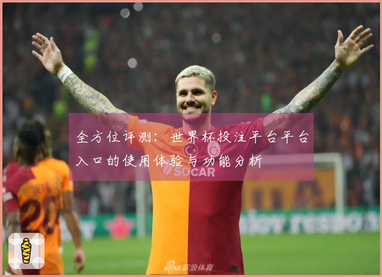 全方位评测：世界杯投注平台平台入口的使用体验与功能分析