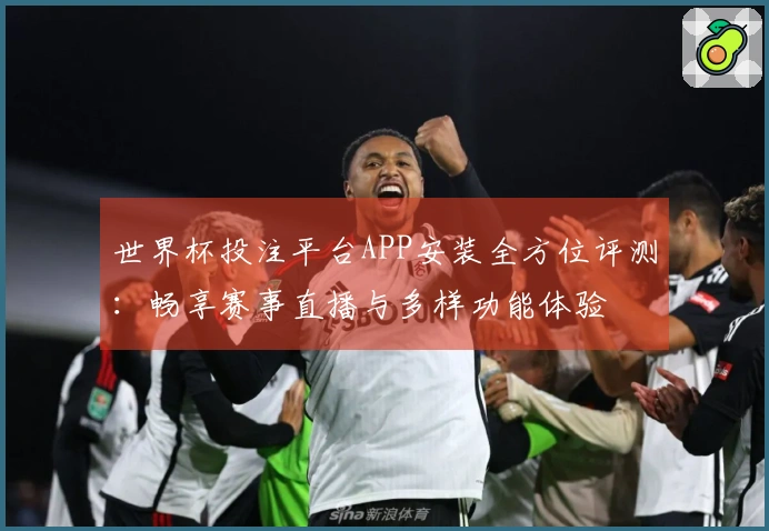 世界杯投注平台APP安装全方位评测：畅享赛事直播与多样功能体验