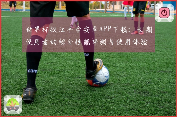 世界杯投注平台安卓APP下载：长期使用者的综合性能评测与使用体验分享