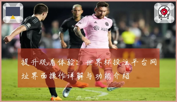 提升观看体验：世界杯投注平台网址界面操作详解与功能介绍