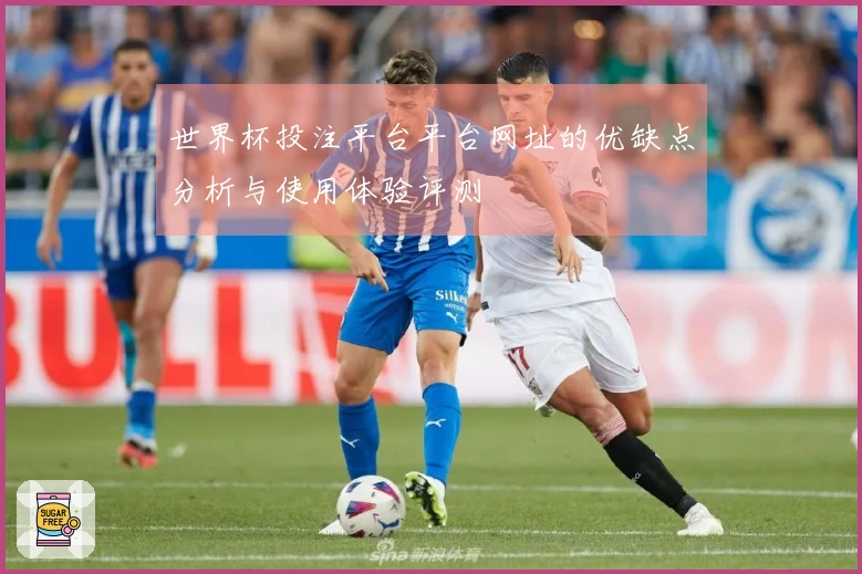 世界杯投注平台平台网址的优缺点分析与使用体验评测
