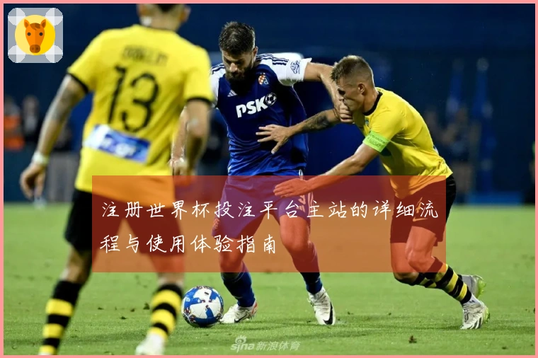 注册世界杯投注平台主站的详细流程与使用体验指南