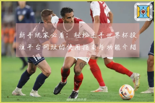 新手玩家必看：轻松上手世界杯投注平台网址的使用指南与功能介绍