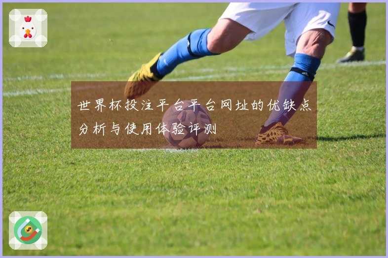世界杯投注平台平台网址的优缺点分析与使用体验评测